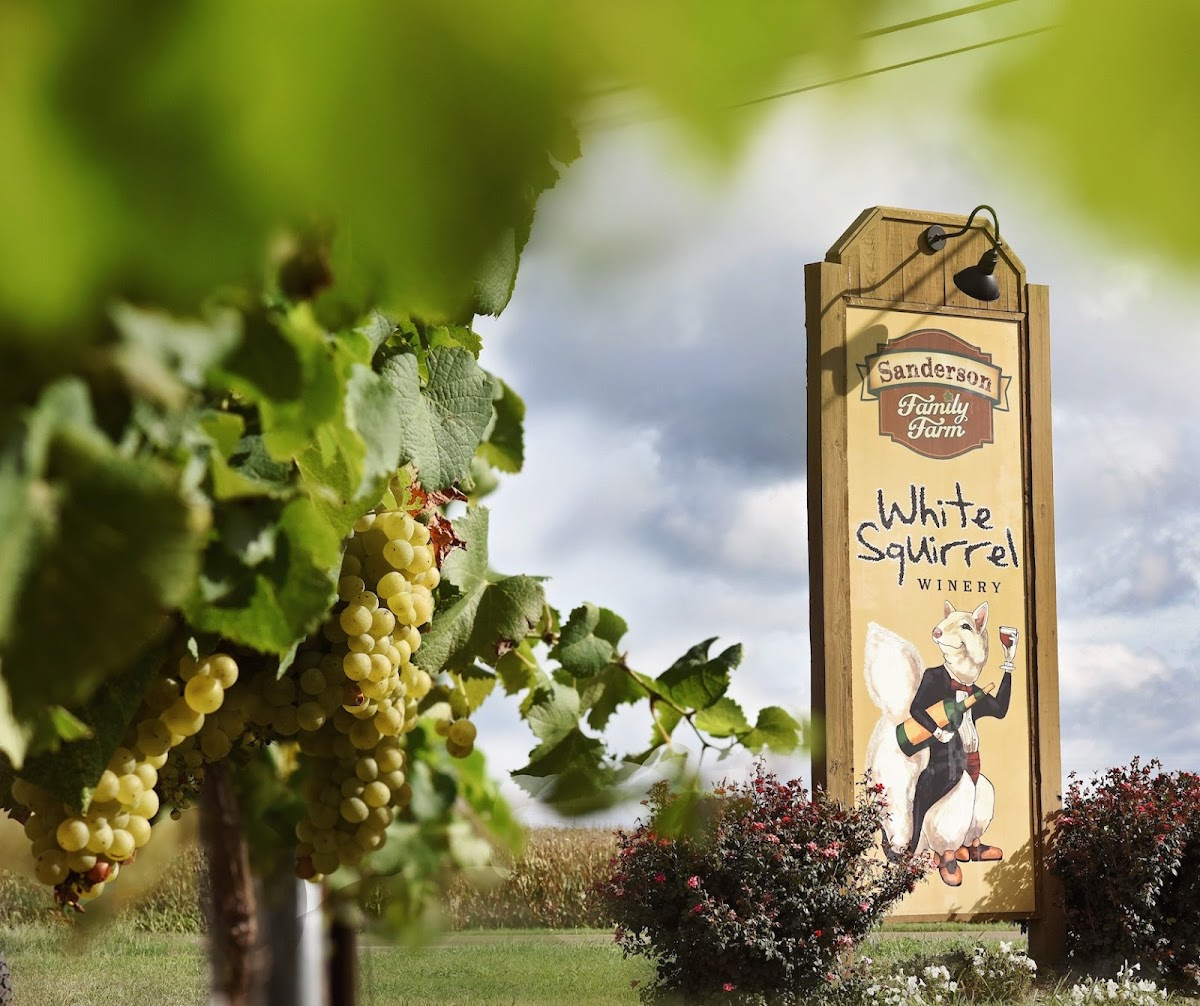 White Squirrel Winery