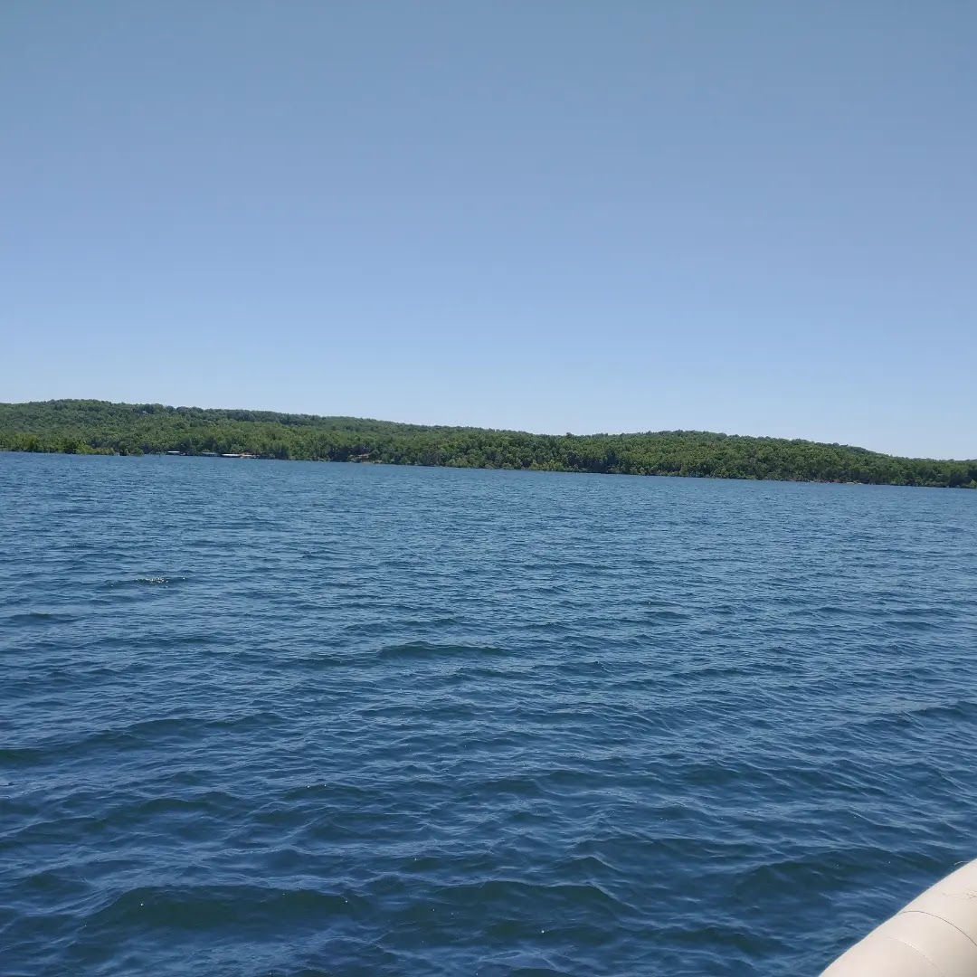 Fin 'n' Feather Resort photo 3