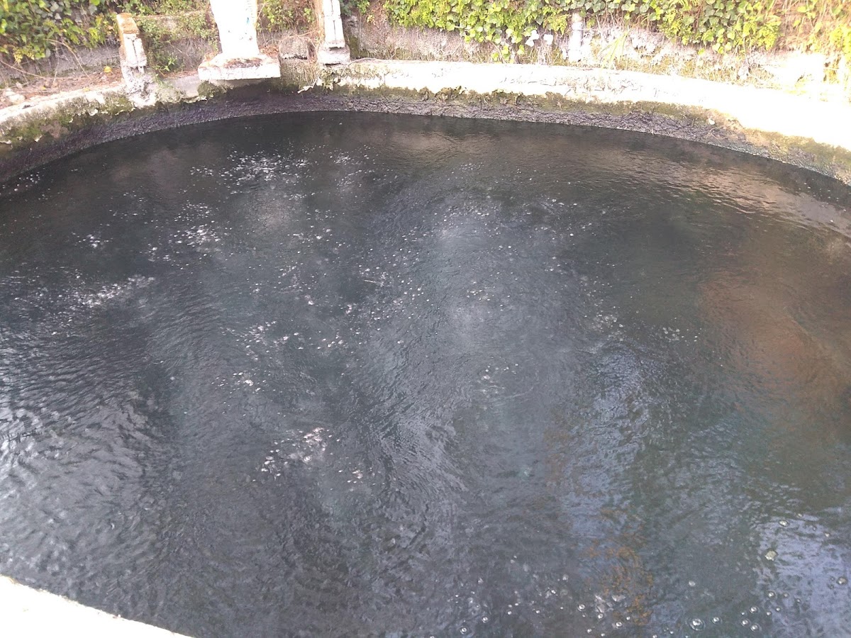Balneario El Milagro photo 3