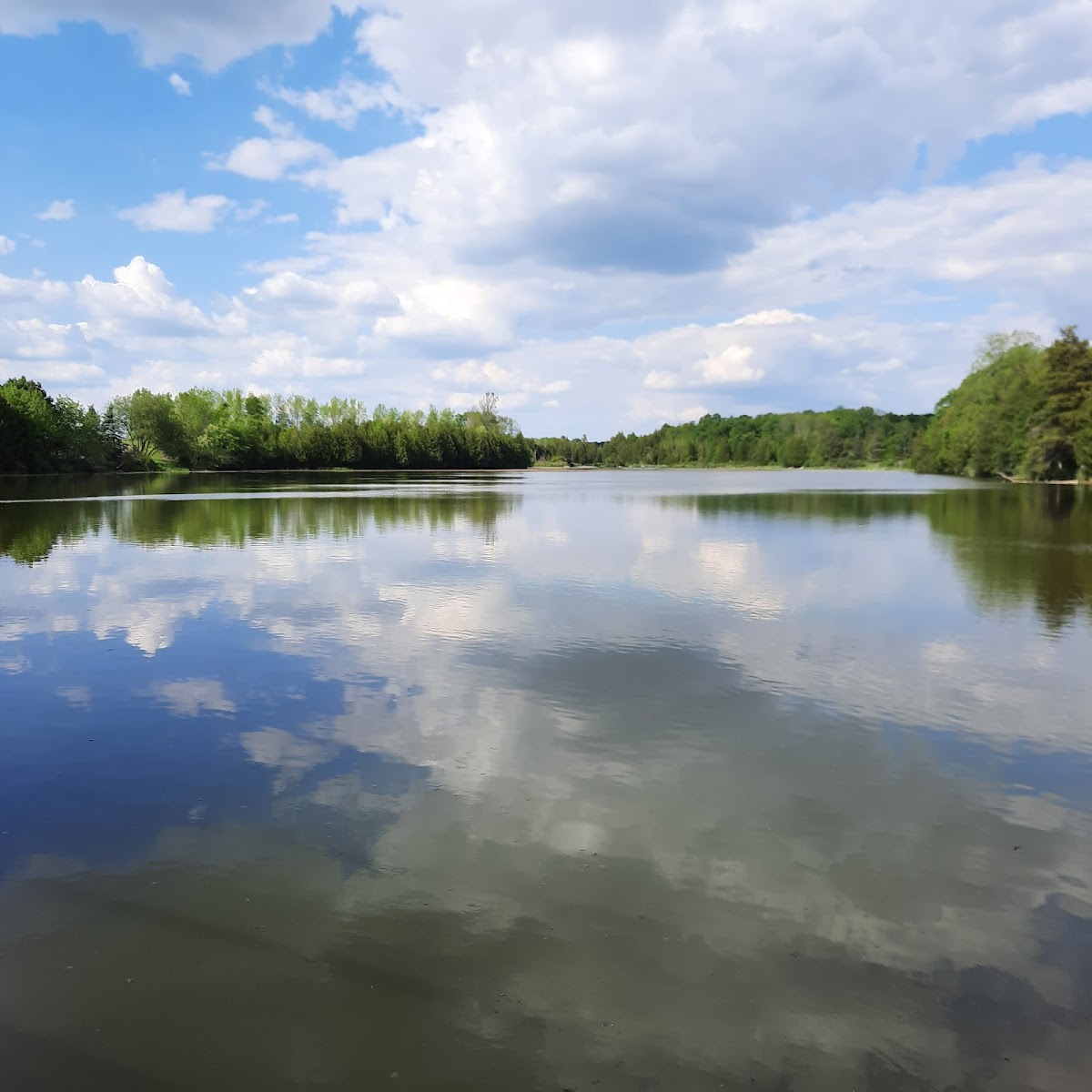 Holstein Dam