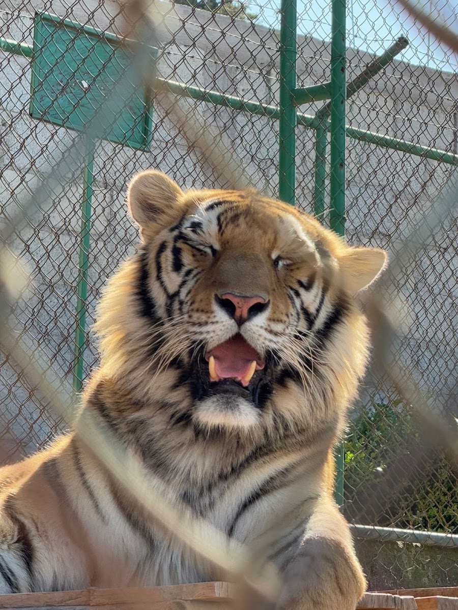 Zoológico de Tulancingo
