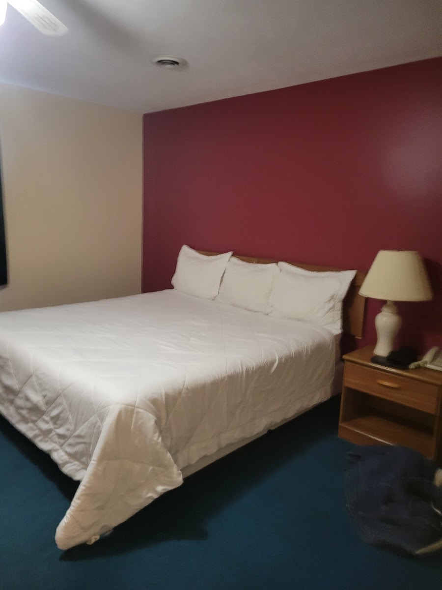 Medina Inn photo 3