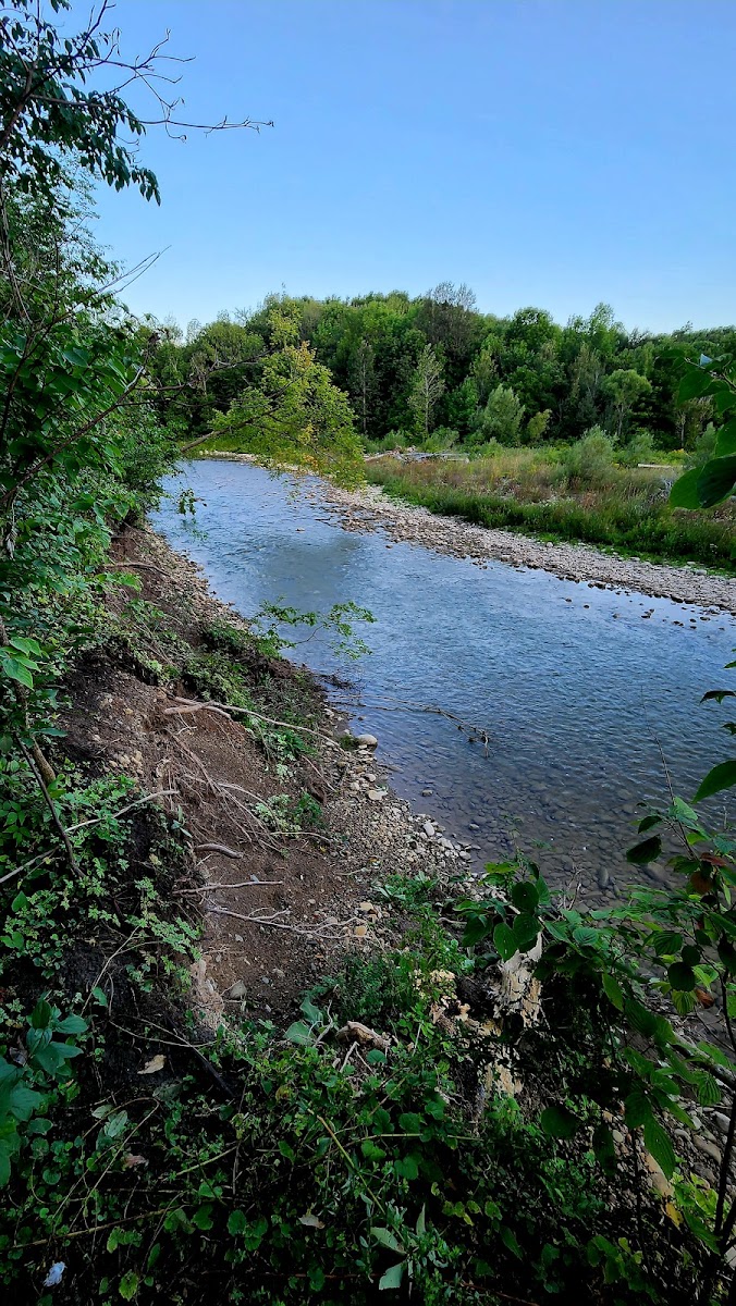 Trout Hollow Trail