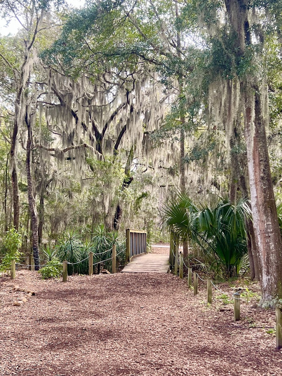 Jacksonville Arboretum