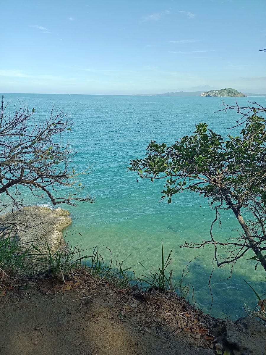 Playa Los Ayala