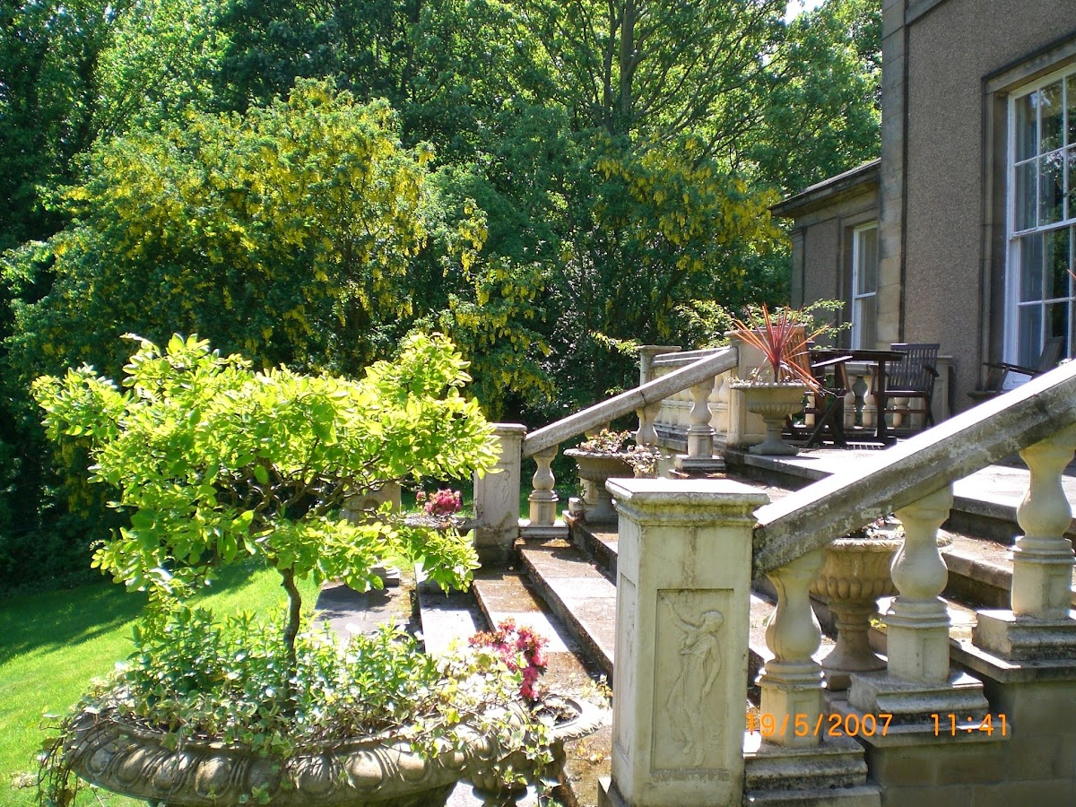 Hedgefield House photo 3