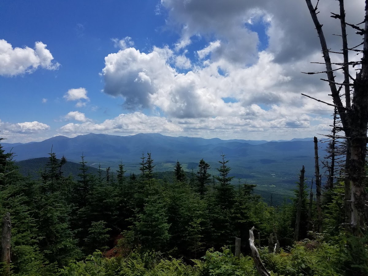 Mt Waumbek