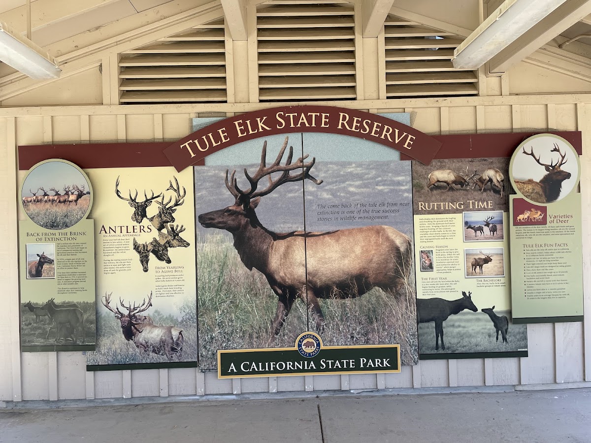 Tule Elk Reserve State Natural Reserve