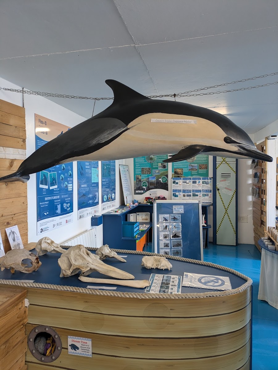 Cardigan Bay Marine Wildlife Centre