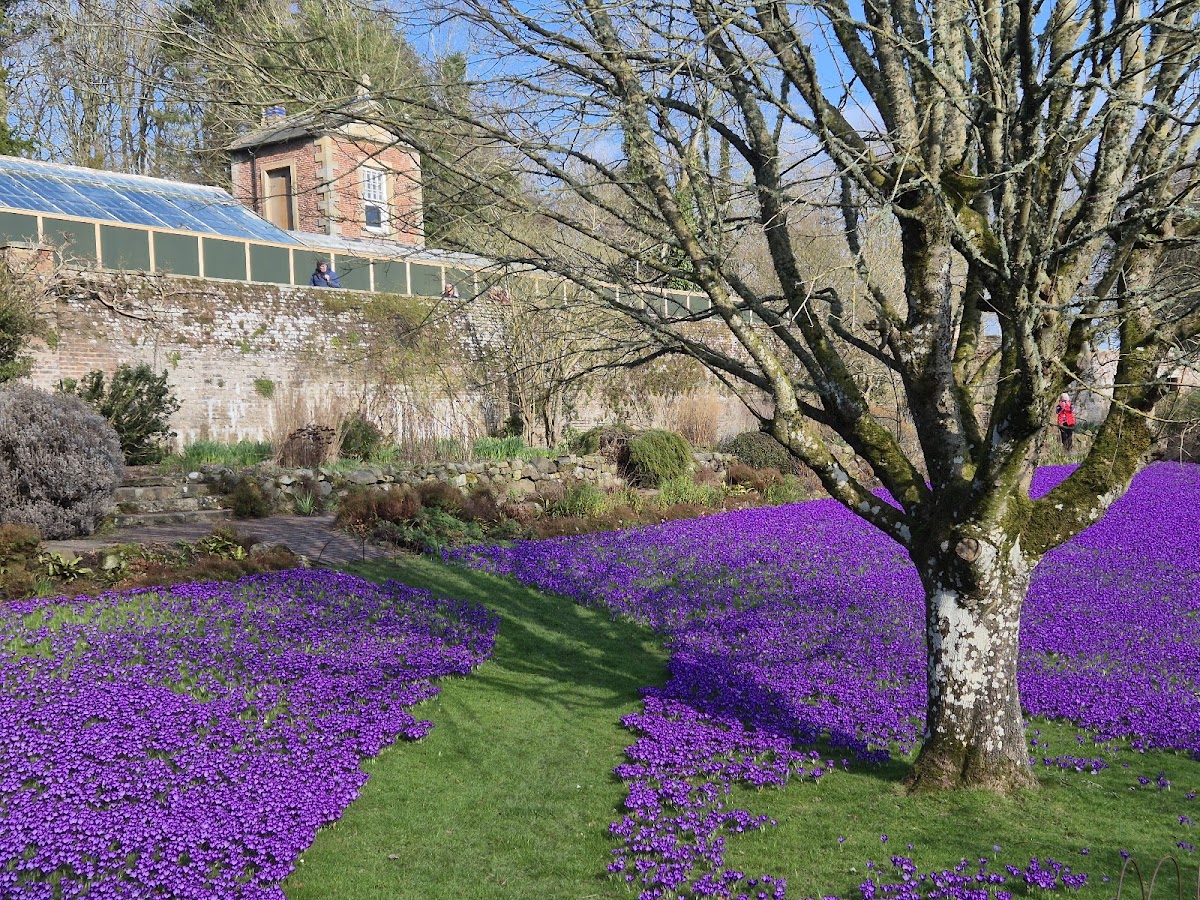 Wallington Hall
