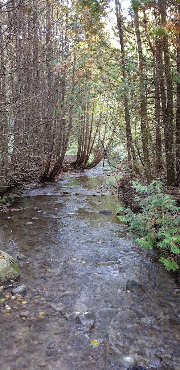 Proctor Park Conservation Area