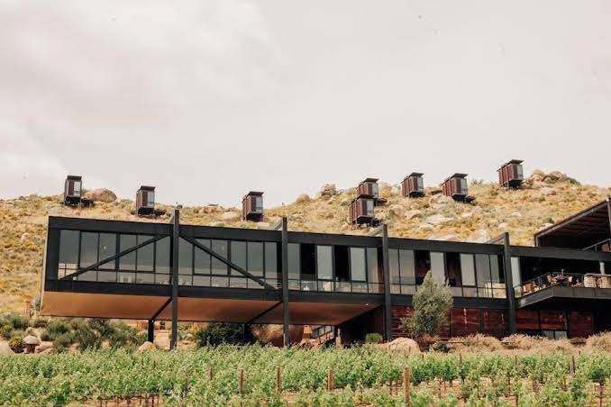 Encuentro Guadalupe