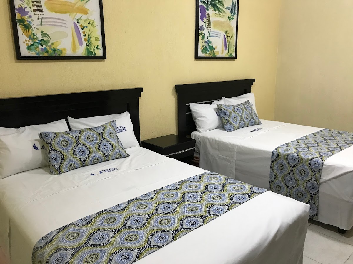 Hotel Dorado Malecón & Playa photo 3