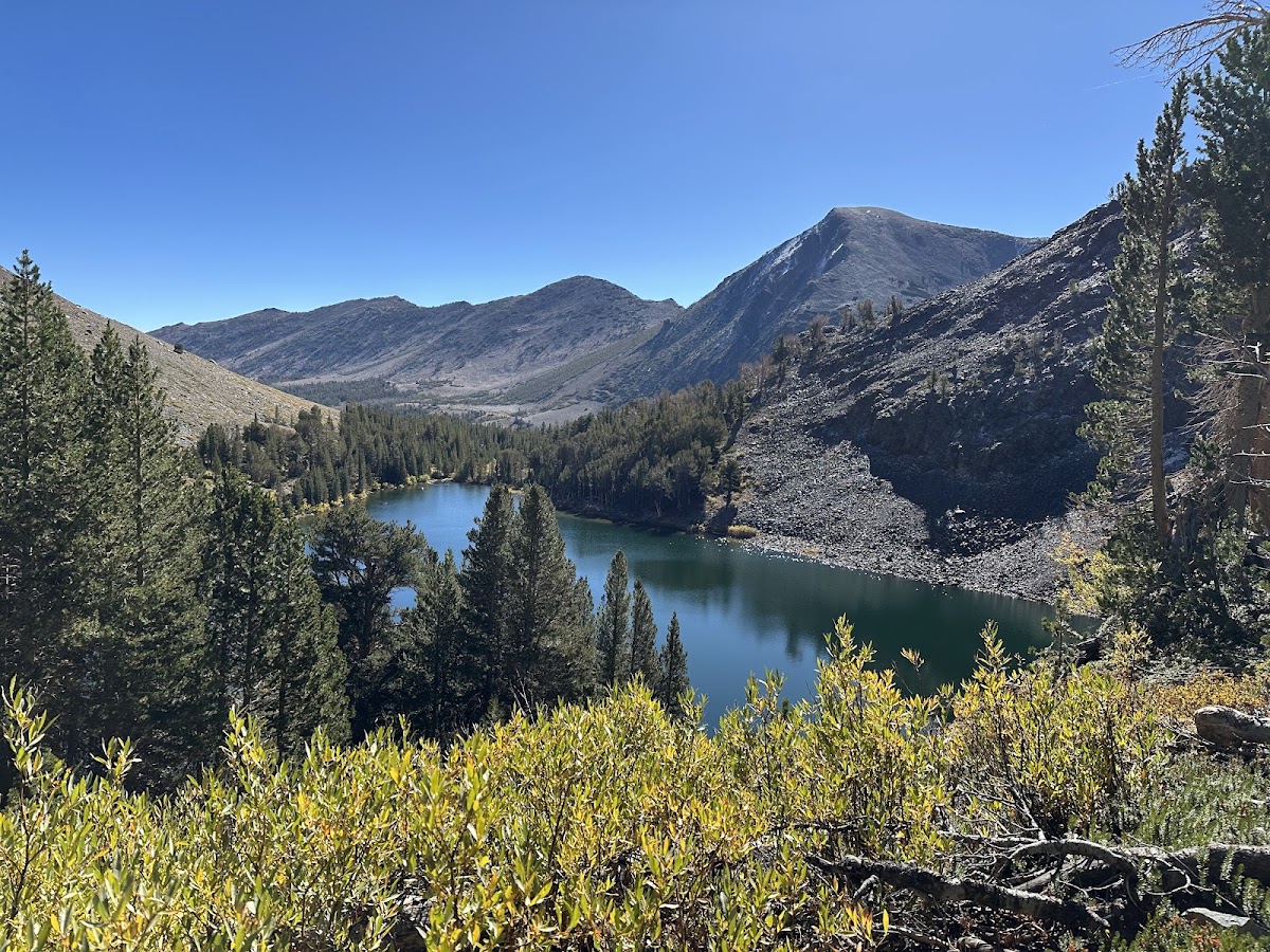 Hoover Wilderness