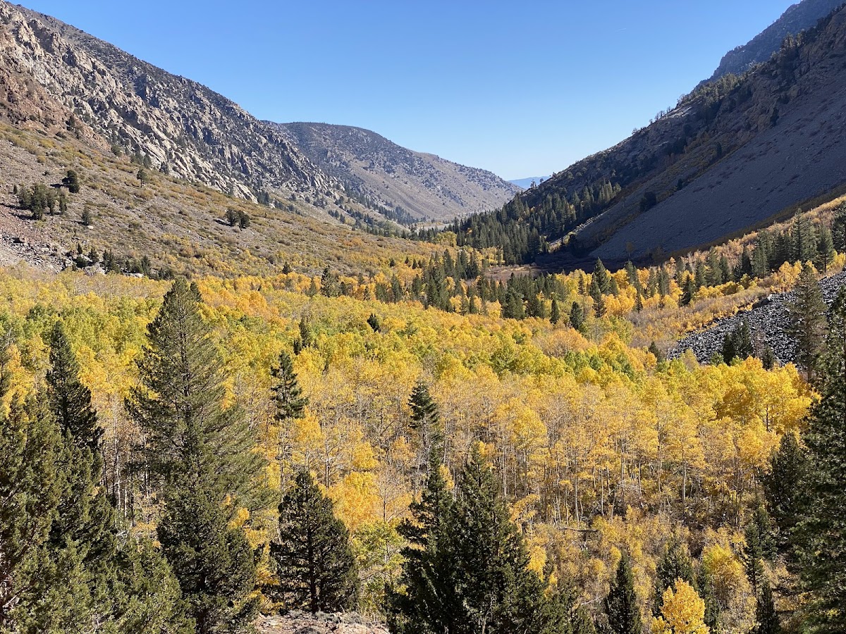 Lundy Canyon Trail Head