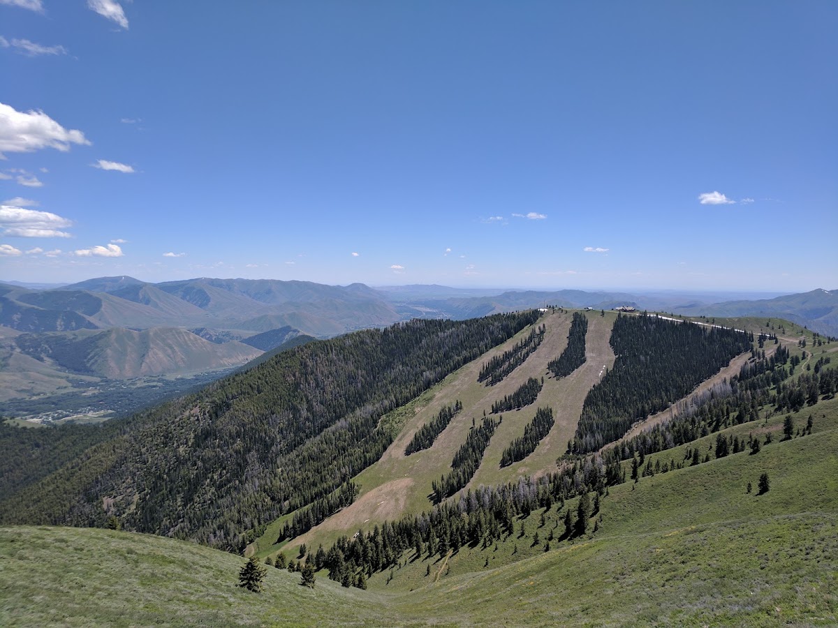 Bald Mountain