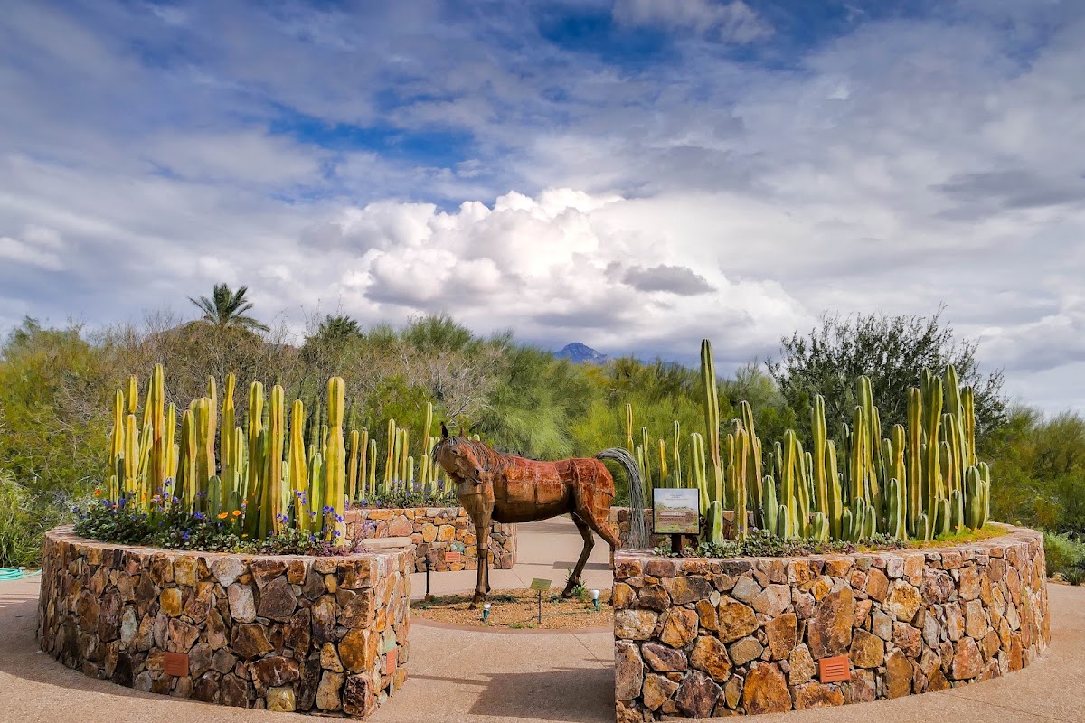 Tohono Chul Botanical Gardens, Galleries, and Bistro