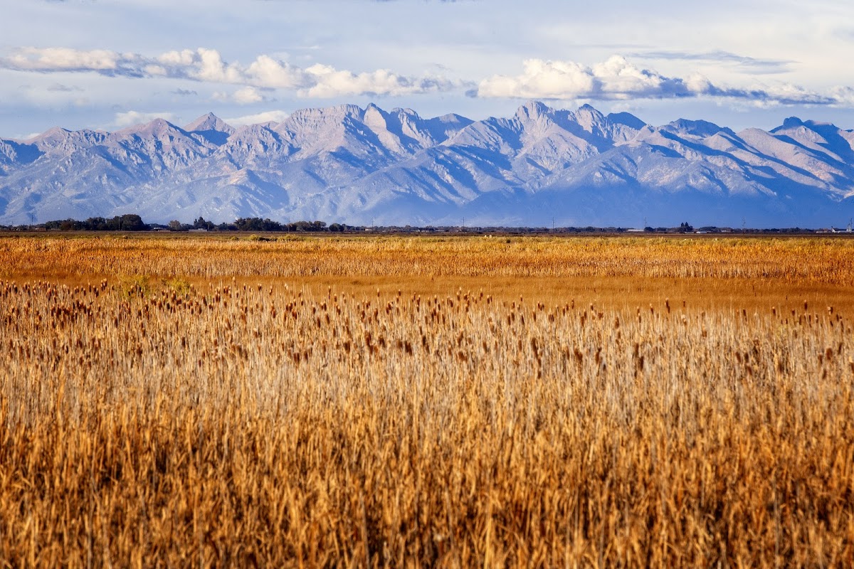 Monte Vista National Wildlife Refuge