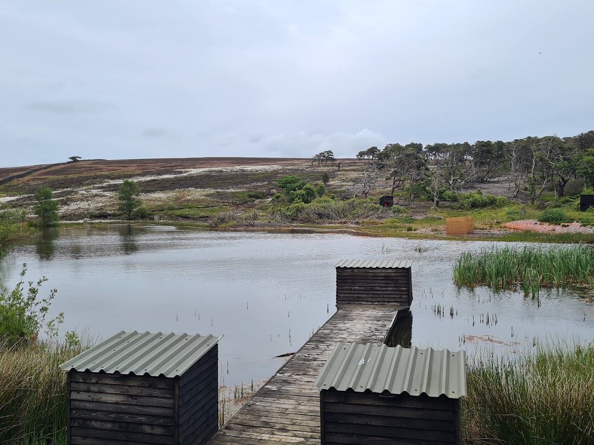 Kelbrook Lodge photo 2