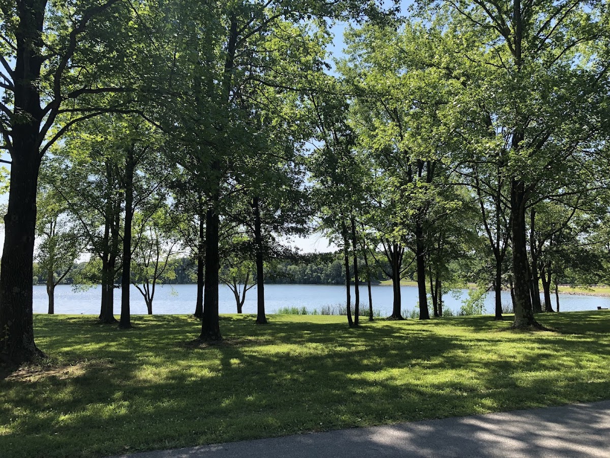 Sam Dale Lake
