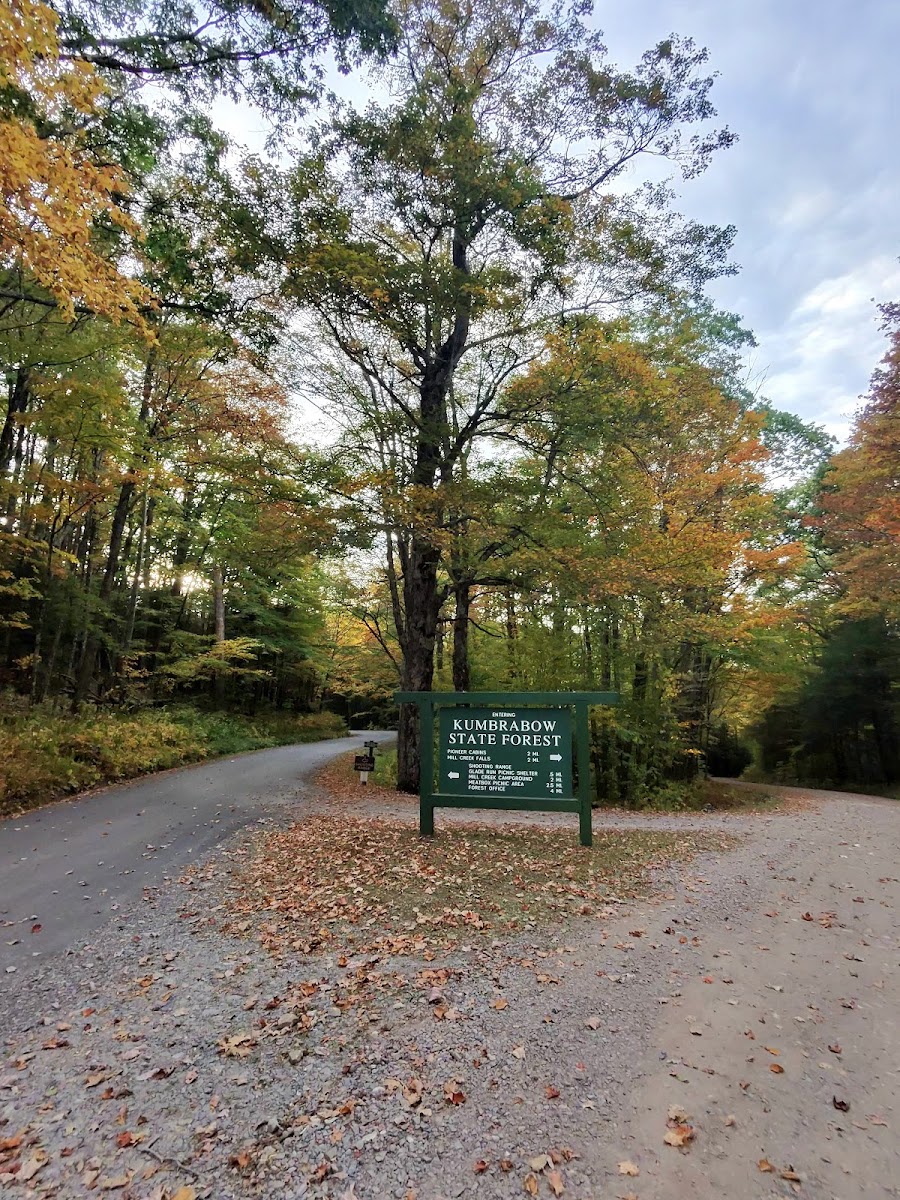 Kumbrabow State Forest