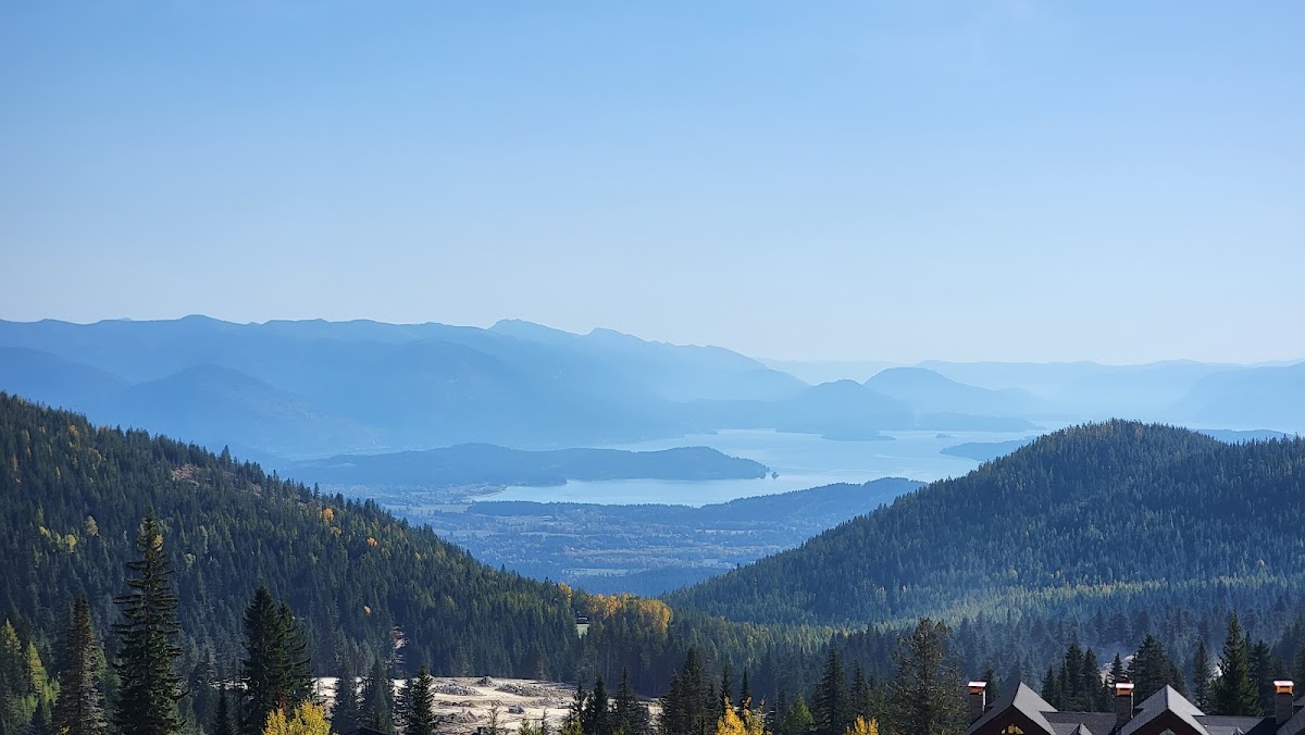 Schweitzer photo 2
