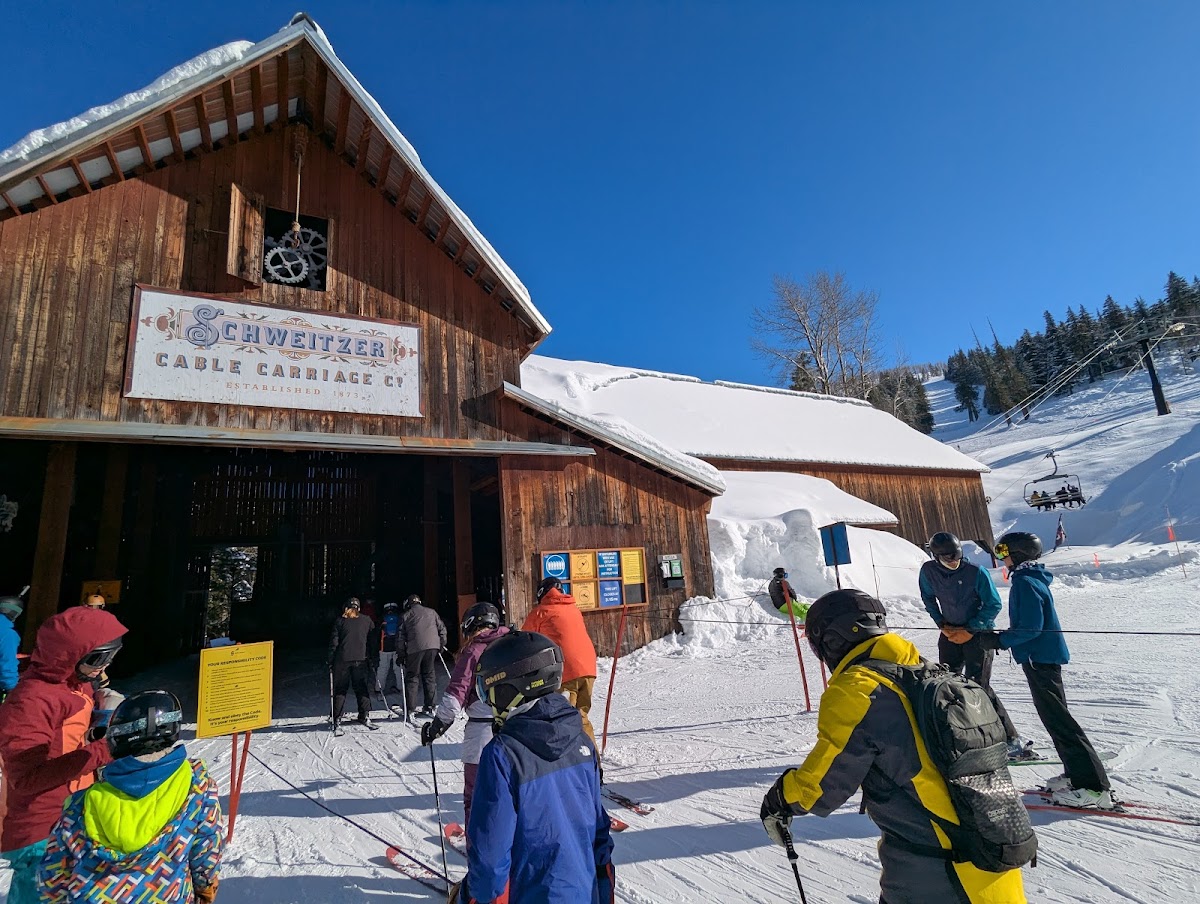 Schweitzer photo 3