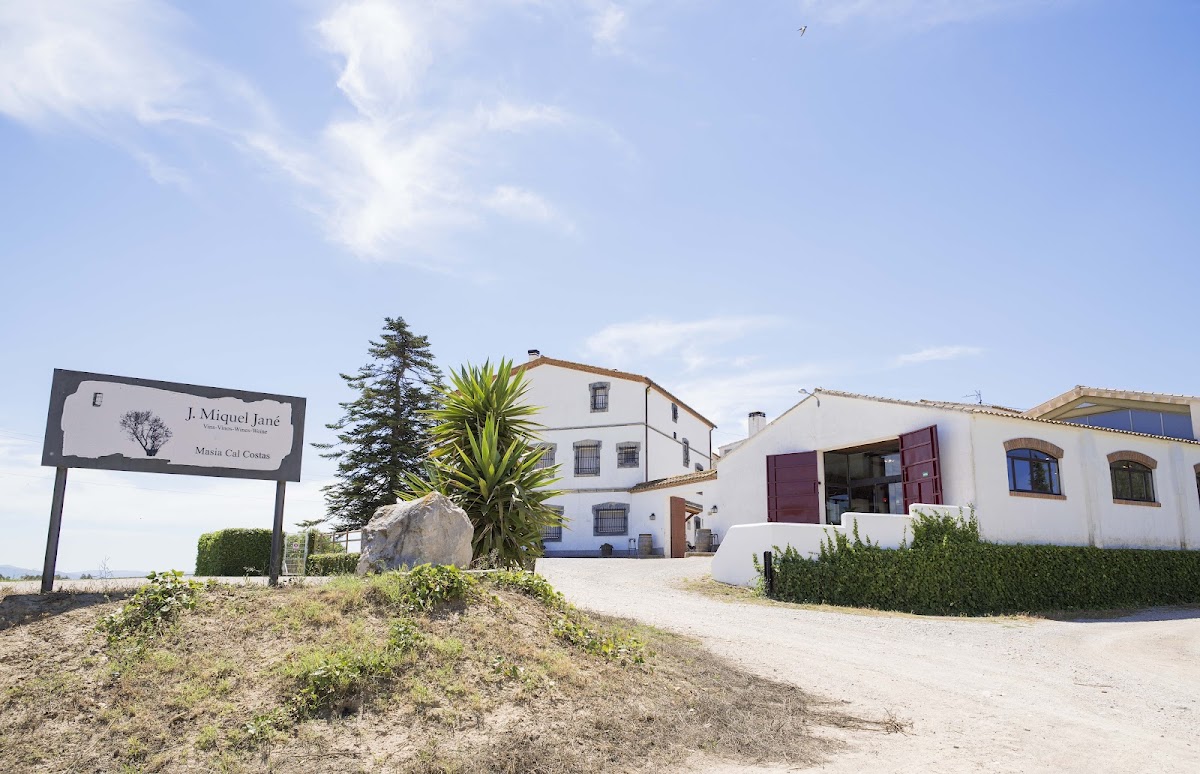 Celler Miquel Jané