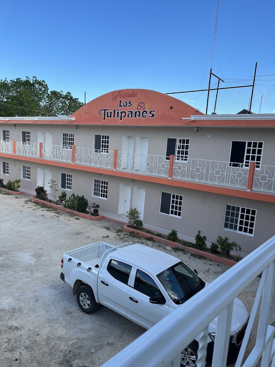 Posada 'Los Tulipanes'