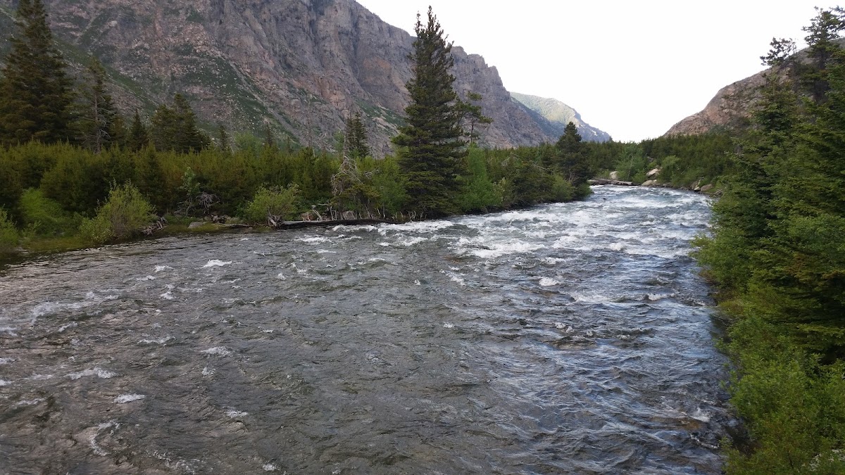 Shoshone River