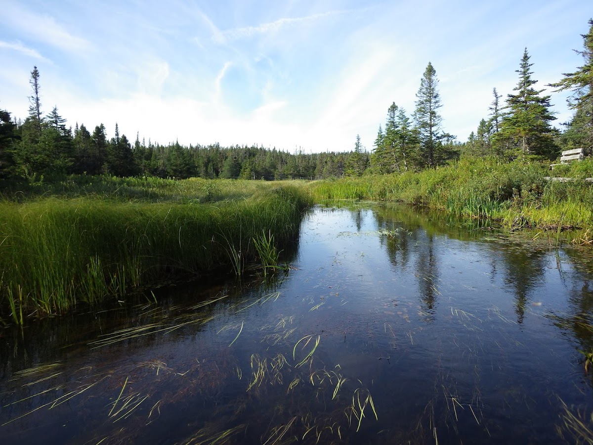 Salmonier Nature Park