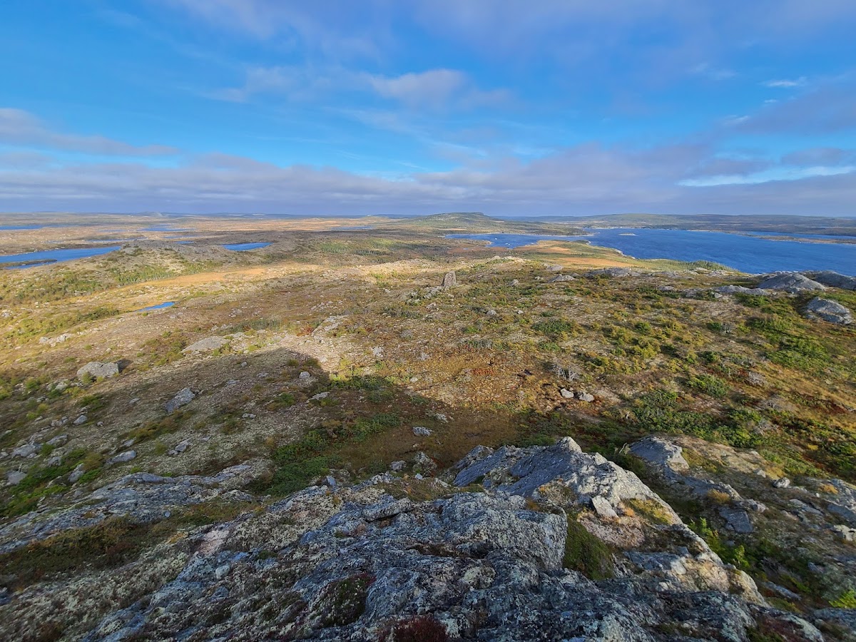 Avalon Wilderness Reserve