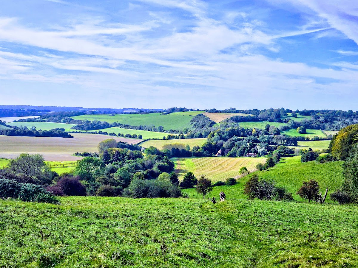 North Wessex Downs National Landscape
