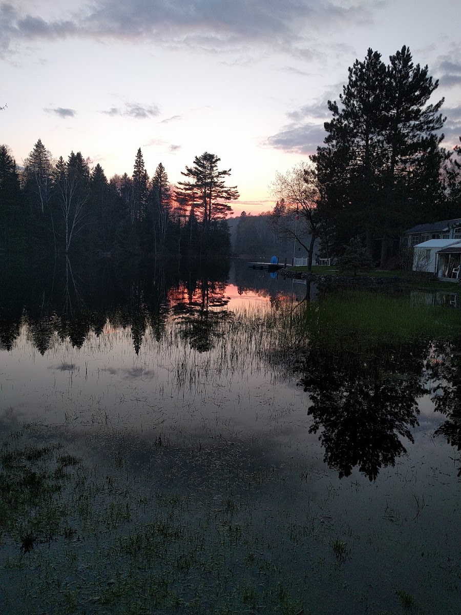 Homstead Rv Resort On photo 2