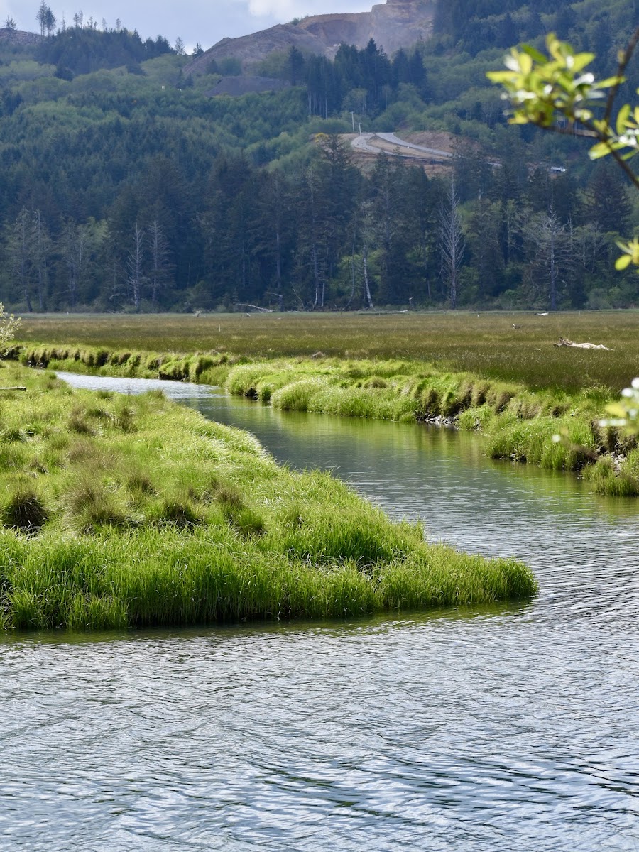 Siletz Bay National Wildlife Refuge