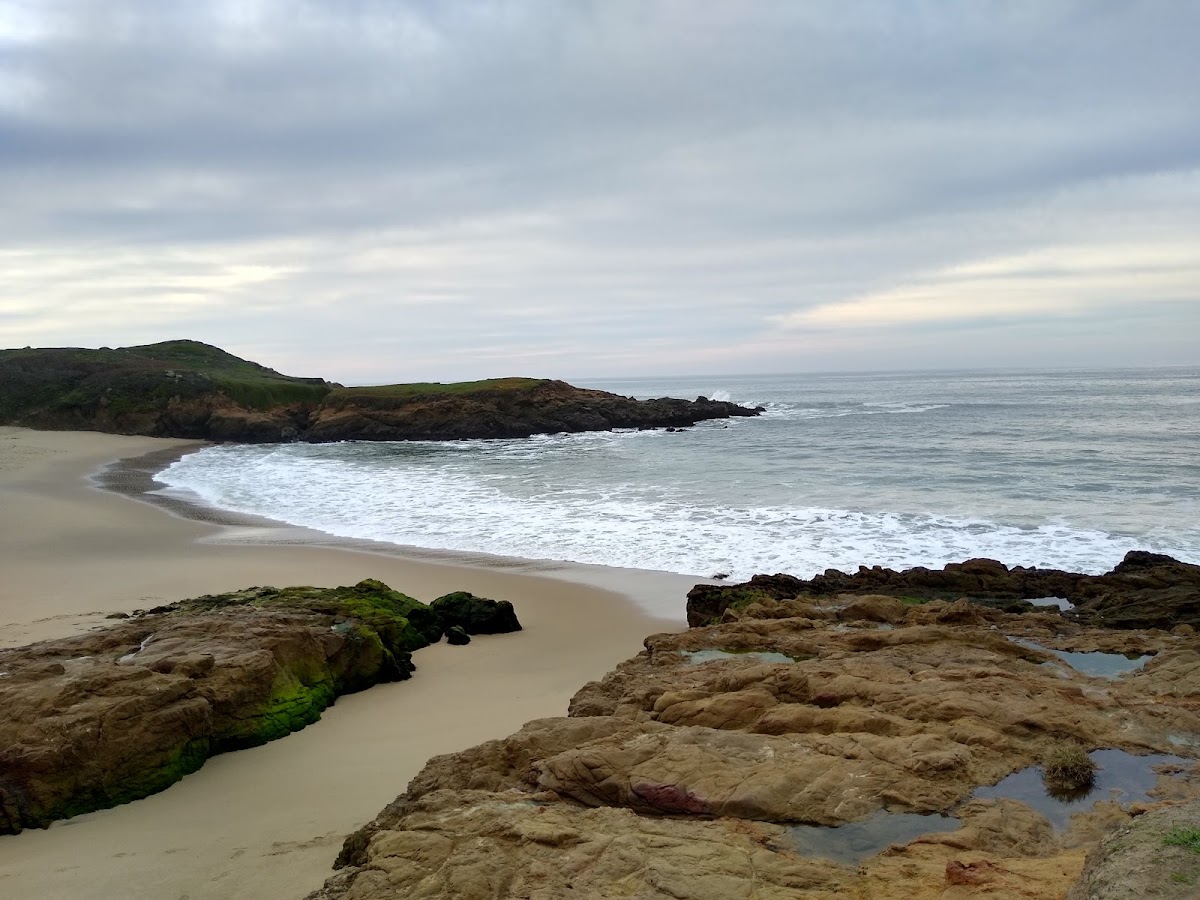 Bean Hollow State Beach