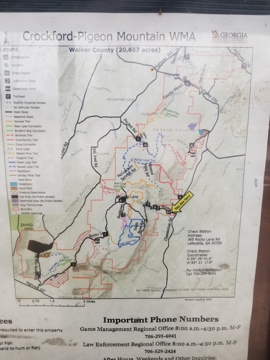 Crockford-Pigeon Mountain Wildlife Management Area