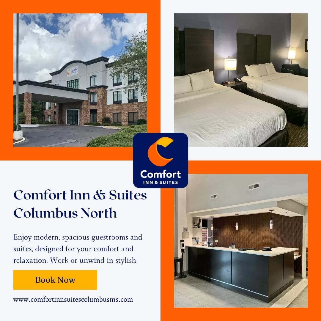 Comfort Inn & Suites Columbus North photo 3