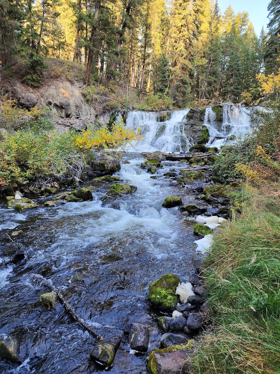 Centennial Park and Bridge Creek Falls