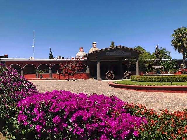 Hacienda Tres Vidas photo 2
