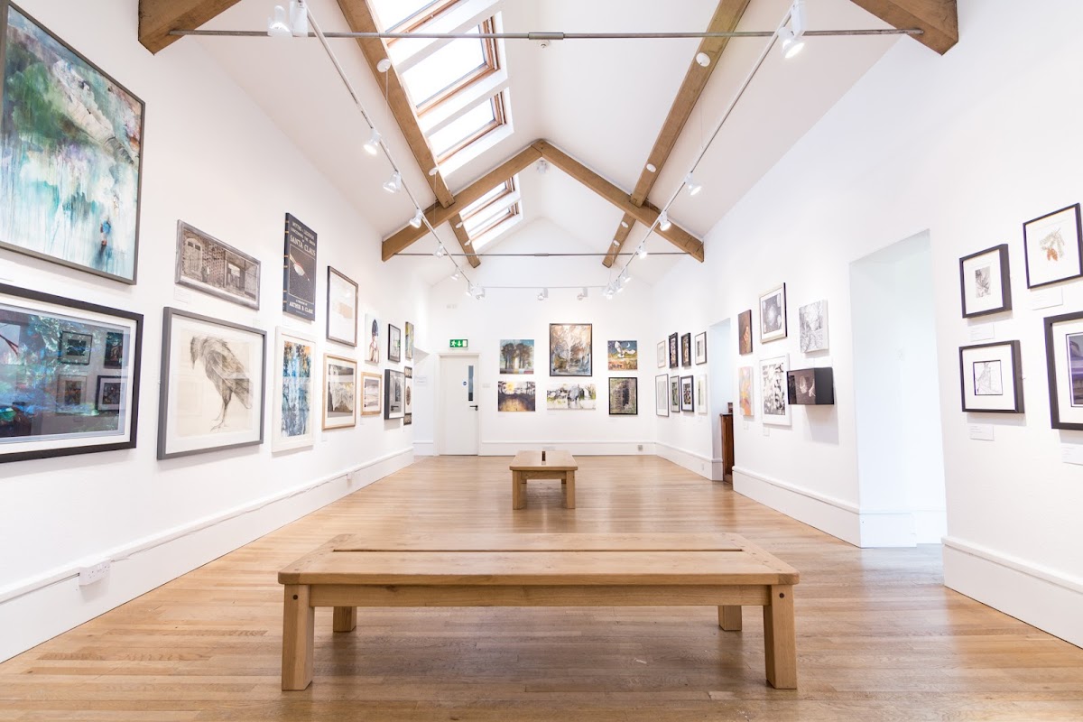 The Museum Of Modern Art