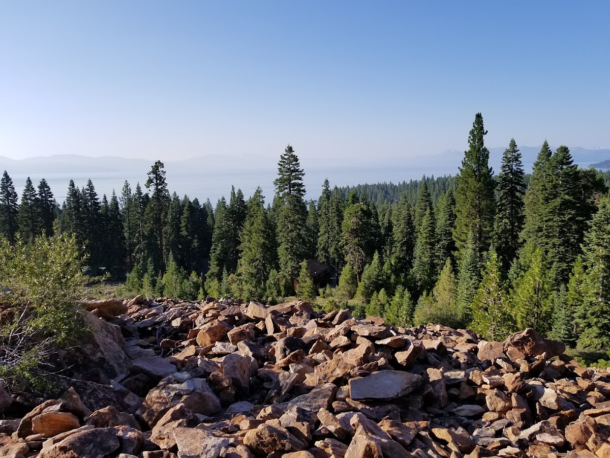 Tahoe National Forest