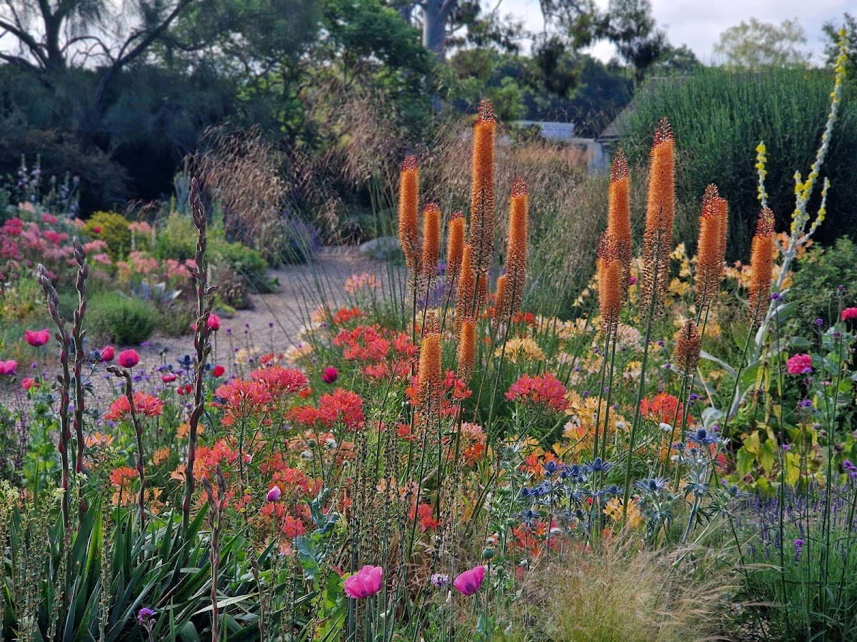 Beth Chatto Gardens
