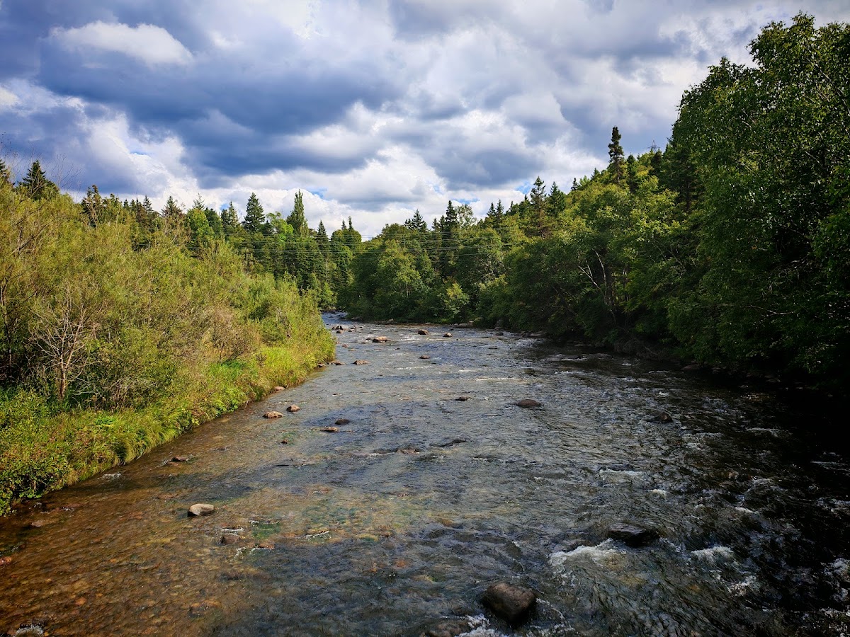 Corner Brook Stream Trail