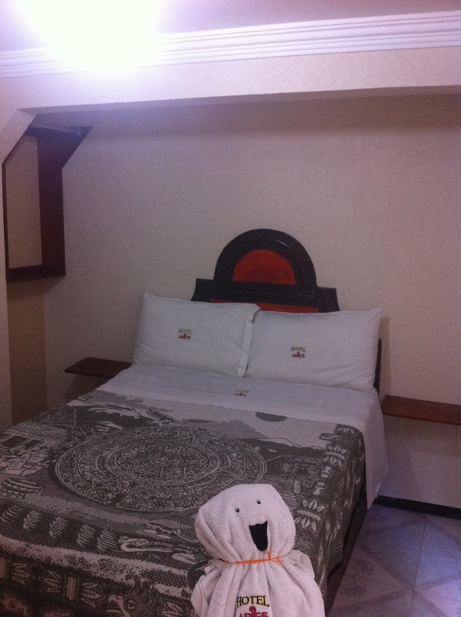 Hotel Aries Tlaxcala photo 3