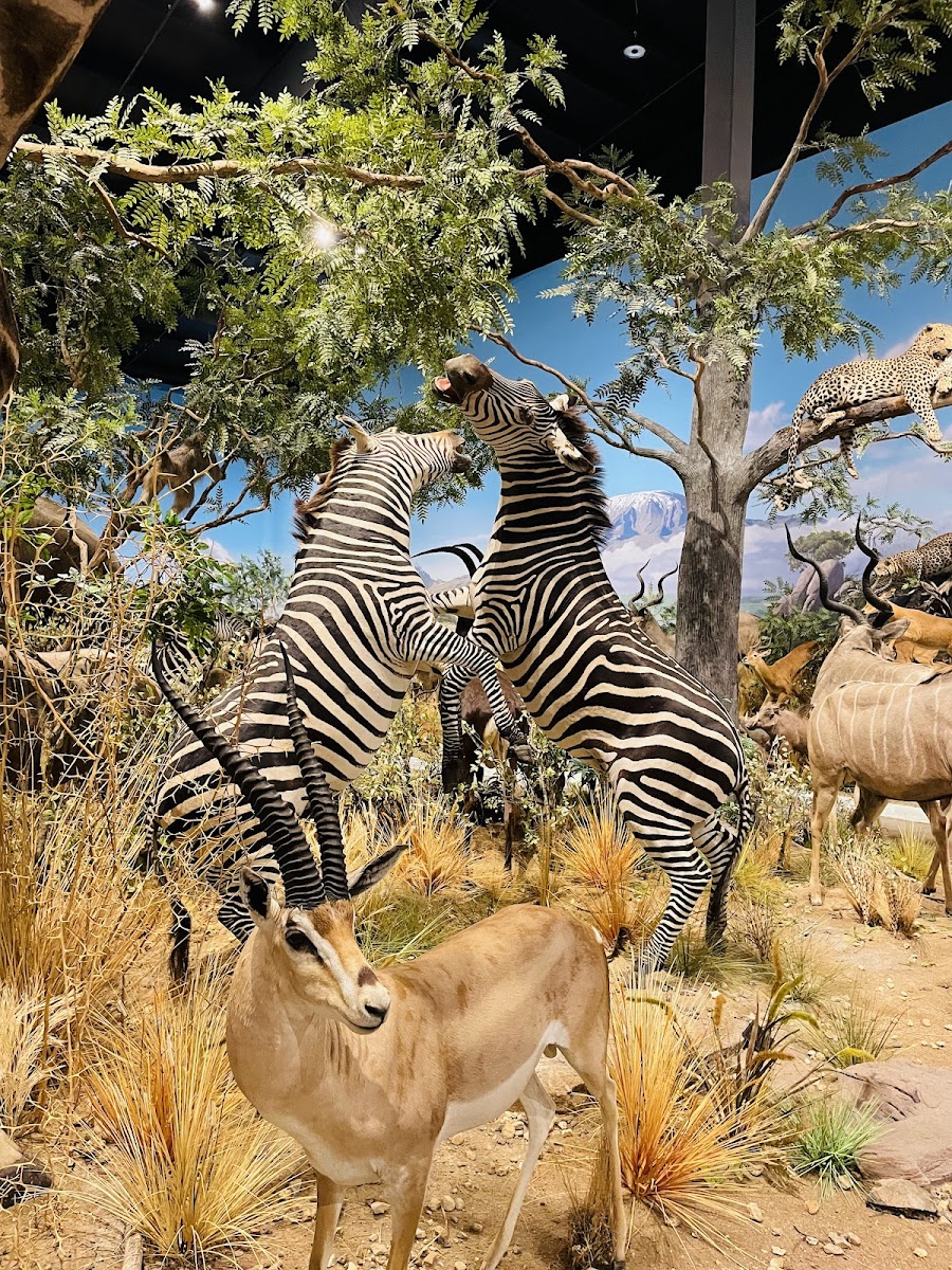 Jay's & Webber Wildlife and Education Center