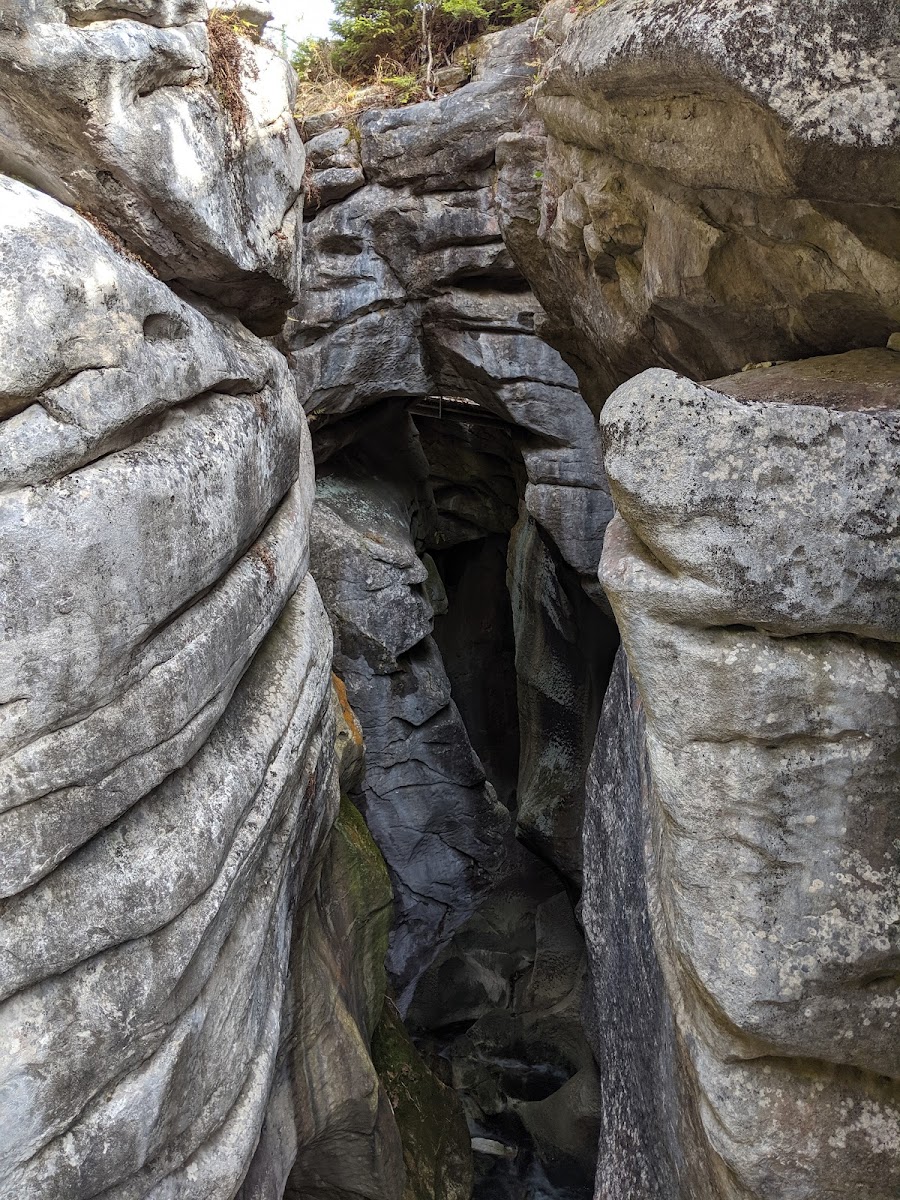 Natural Bridge State Park