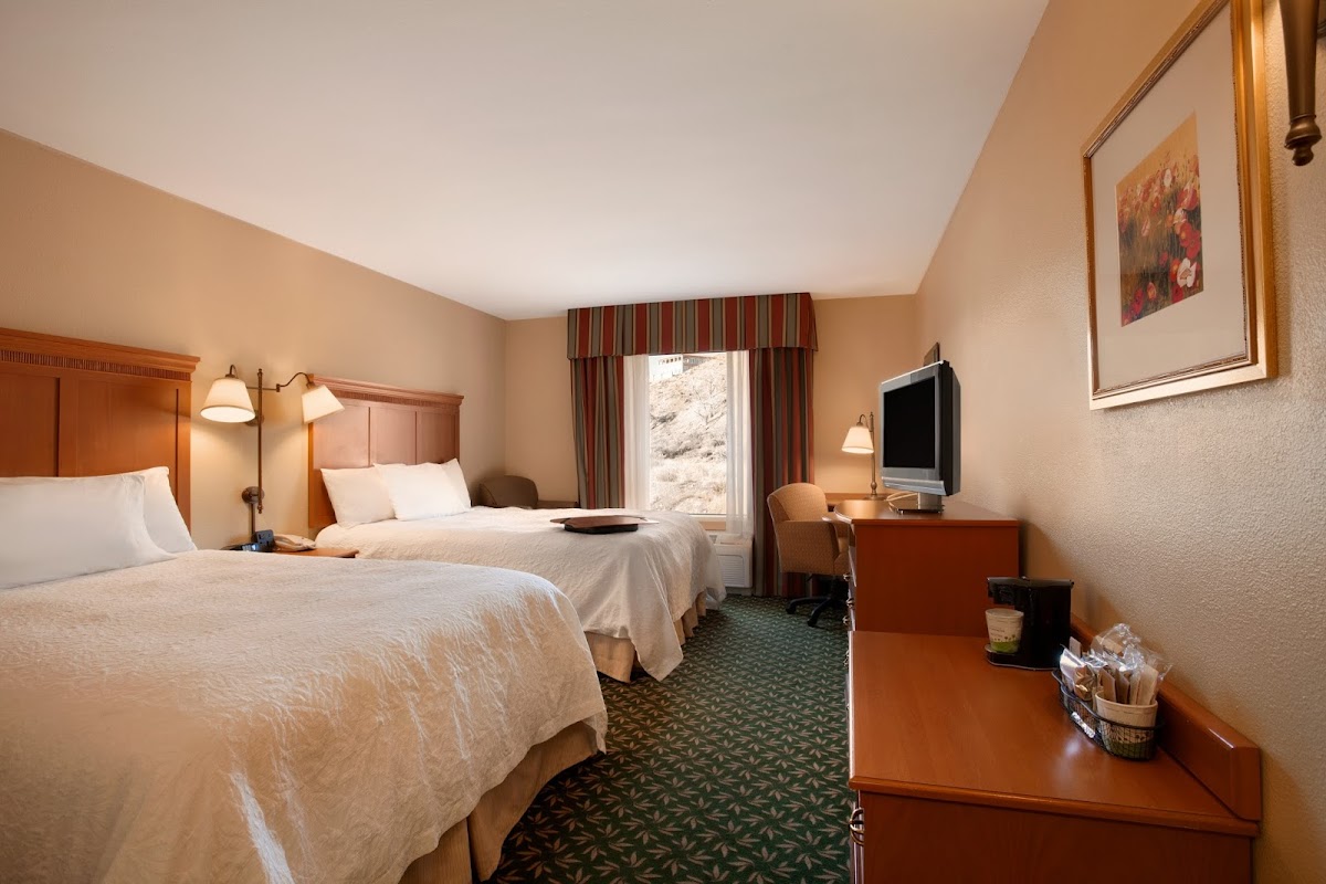 Hampton Inn Canon City photo 2