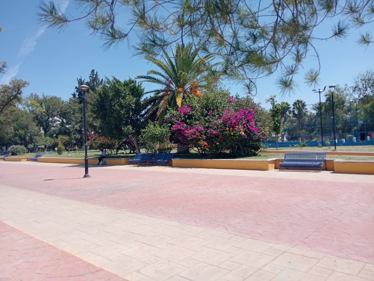 Álvaro Obregón - “PAO” Park