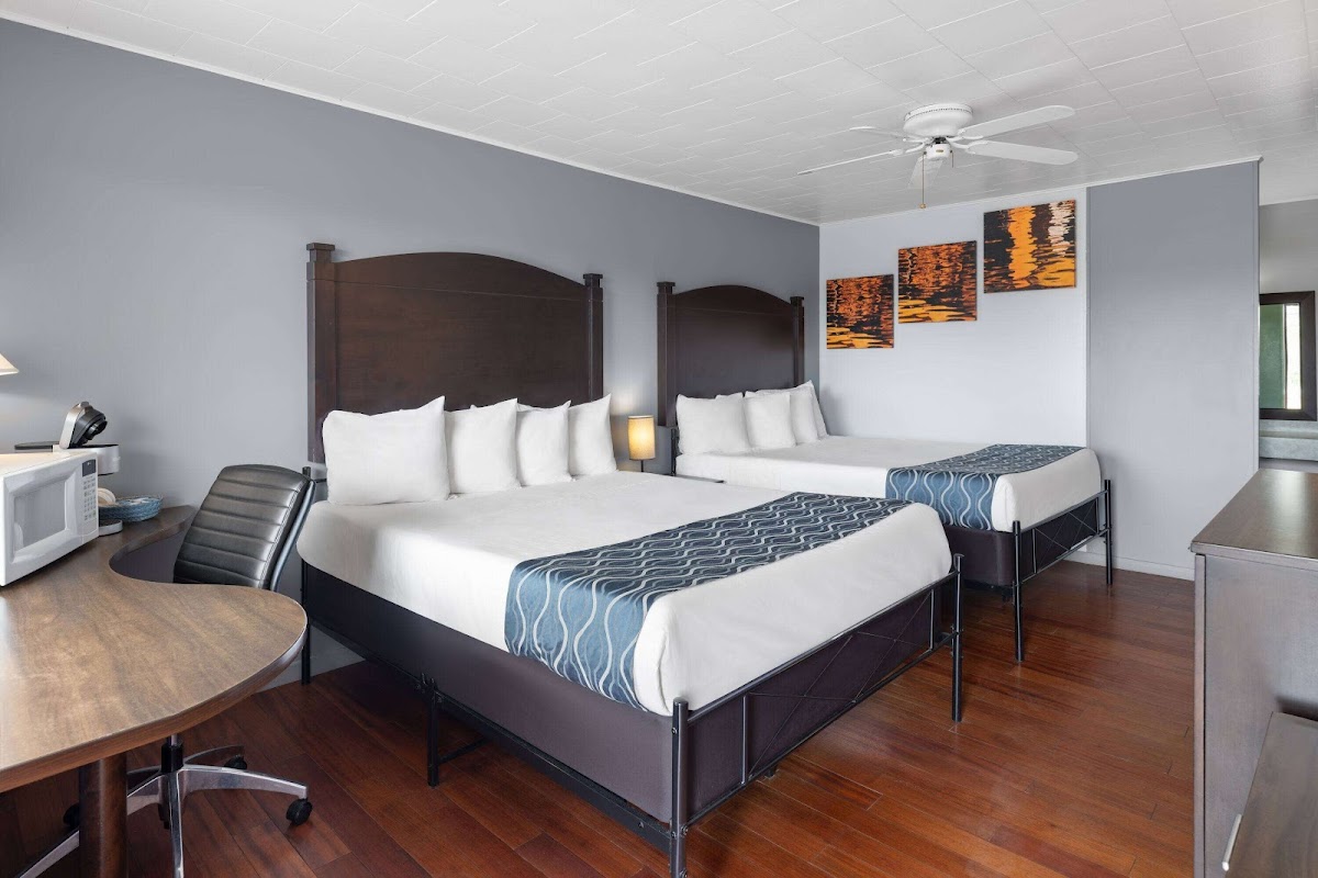 Travelodge by Wyndham Grand Falls photo 2